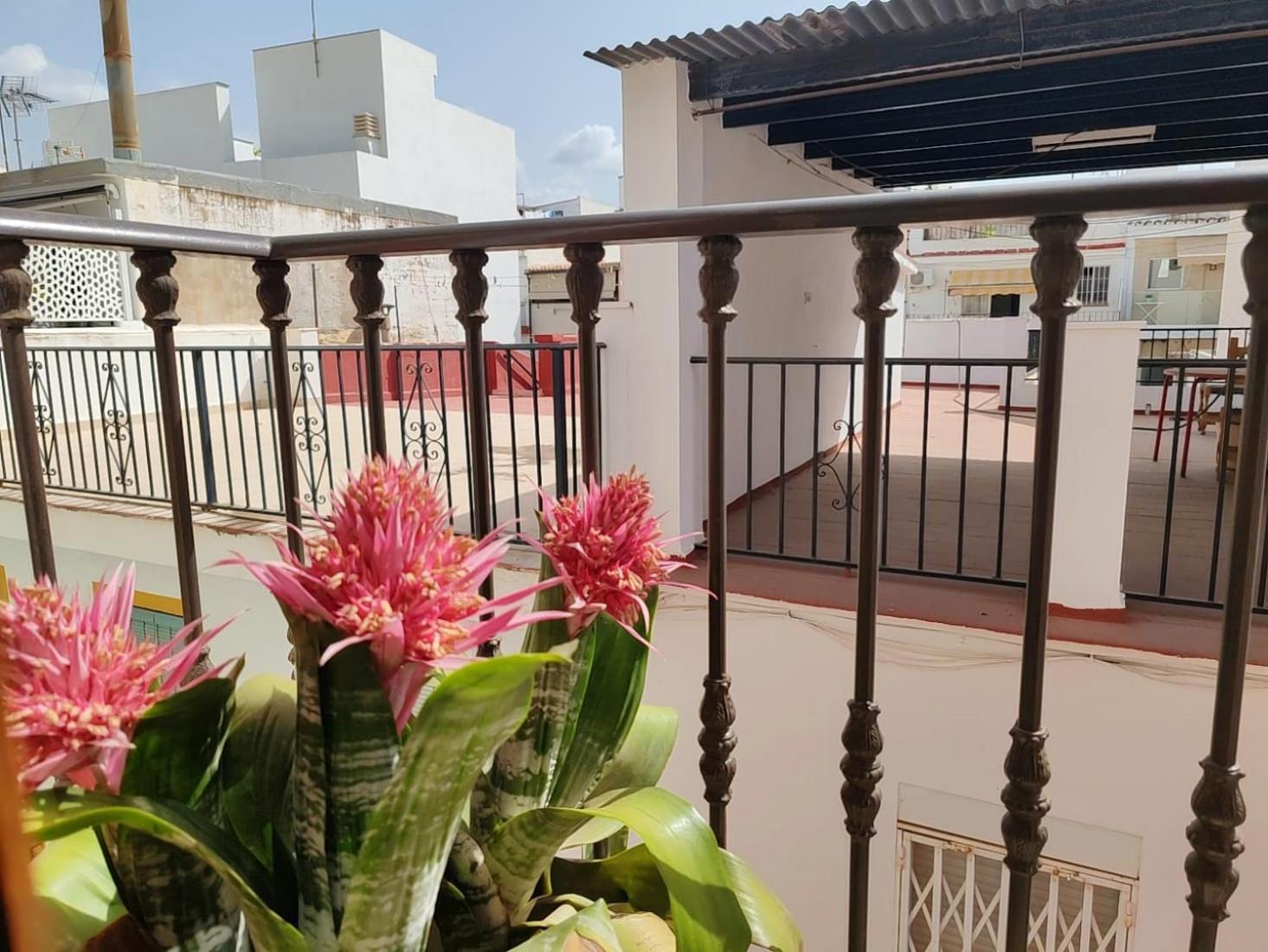 Rincon Exclusivo En El Corazon De Apartment *